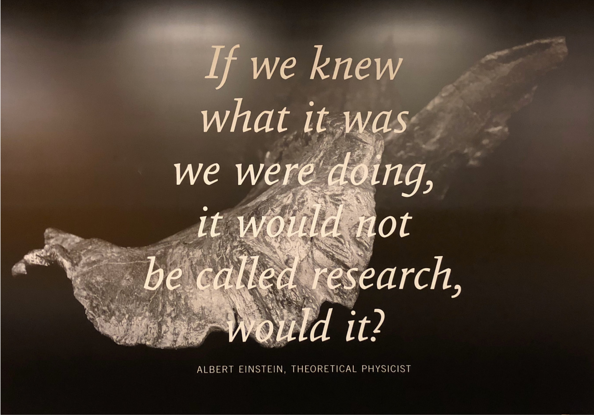 Die Abbildung zeigt ein Poster, welches in einer Berliner U-Bahn-Station hing. Auf dem Poster wird Albert Einstein mit den Worten zitiert: "If we knew what it was we were doing, it would not be called research, would it?"